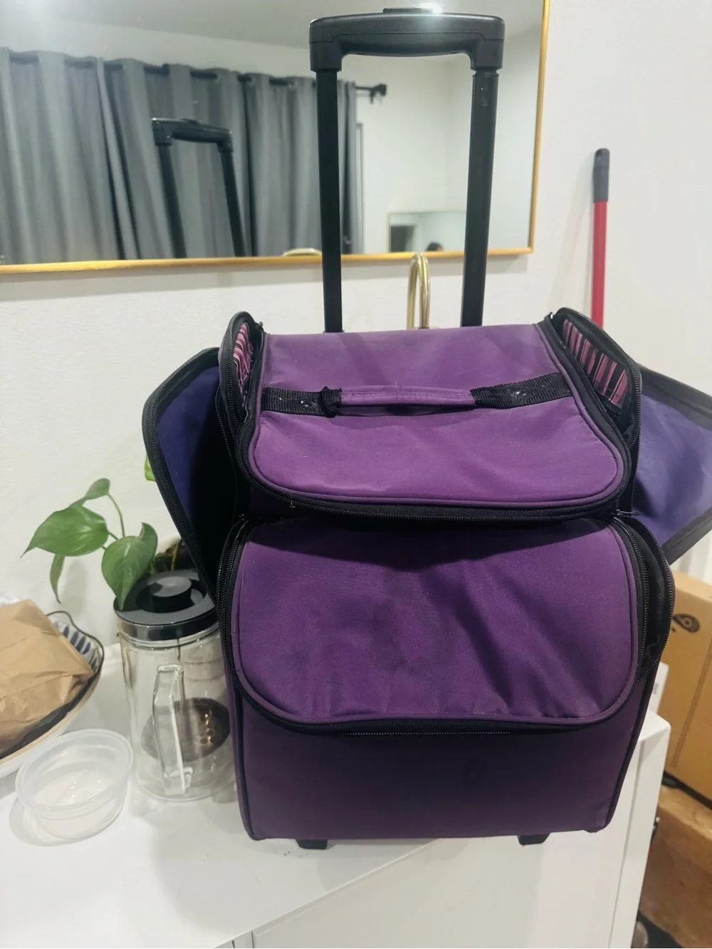 Purple  Travel Carry Bag - Stylish Utility Tote